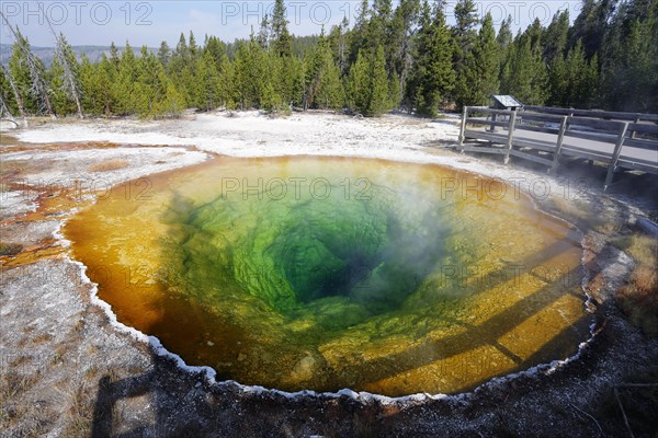 Morning Glory Pool