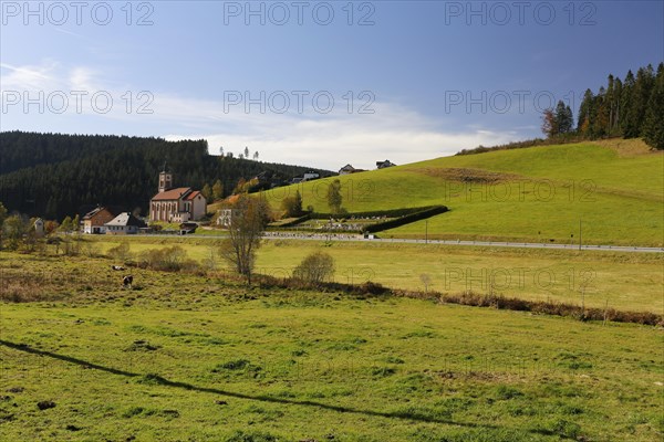 Rohrbach