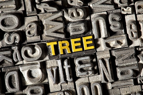 Old lead letters forming the word Tree