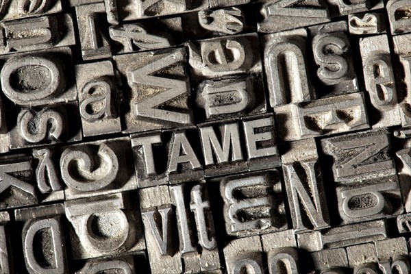 Old lead letters forming the word TAME