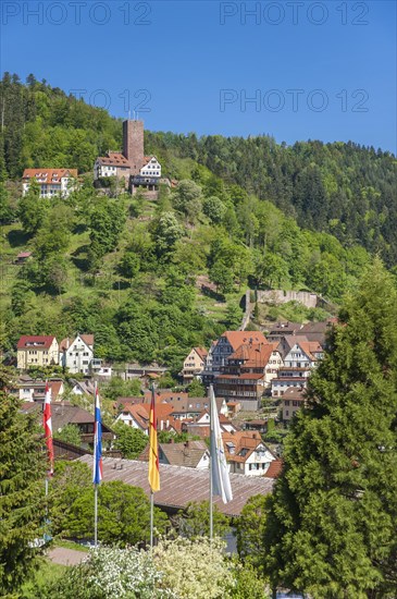 Cityscape with Burg Liebenzell Castle