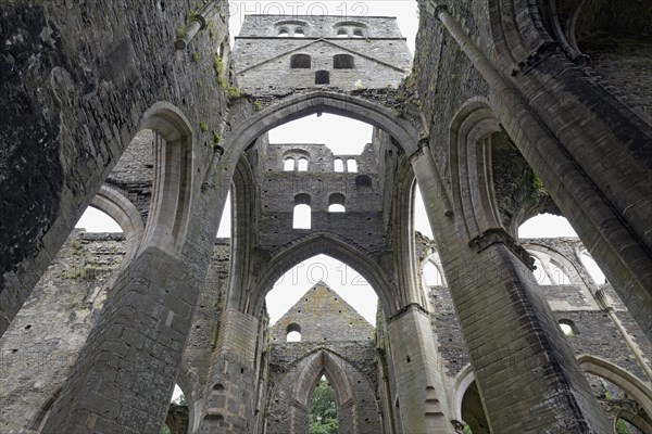 Ruins of the abbey church