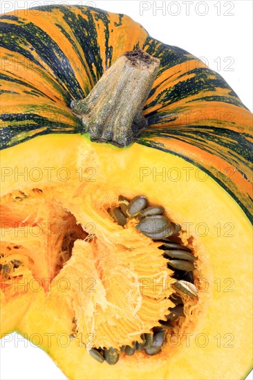 Styrian Oil Pumpkin