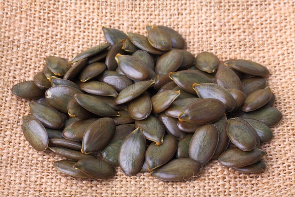 Pumpkin seeds from the Styrian Oil Pumpkin
