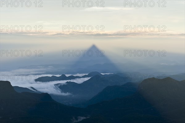 Pilgrim mountain