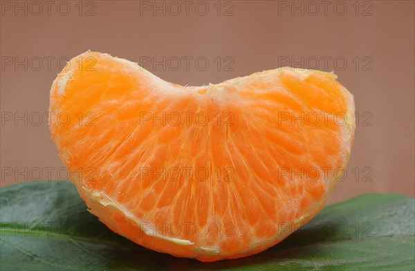 Piece of mandarine