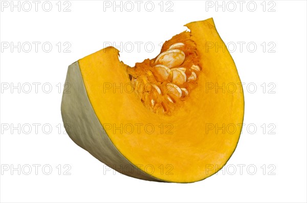 Piece of squash