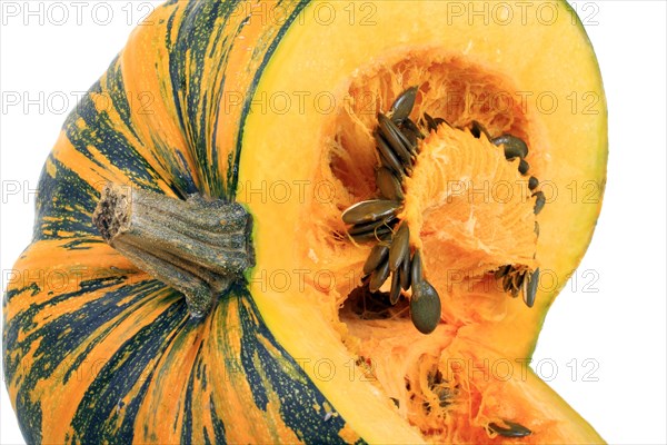 Styrian Oil Pumpkin