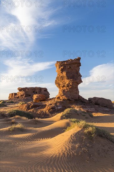 Evening light in the Sahara near Timimoun