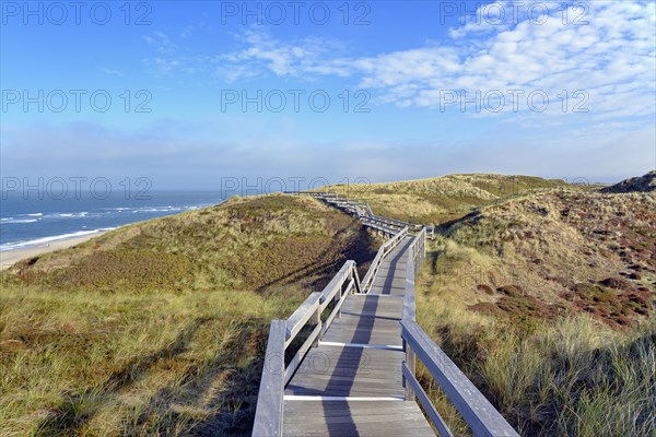 The boardwalk leads through the dunes to the beach of Wenningstedt