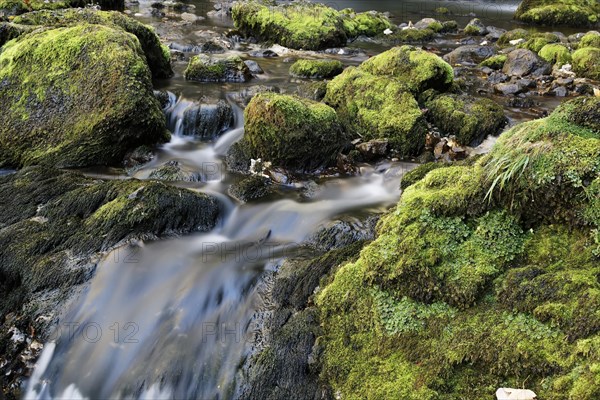 Waterfall in the Wasserlochklamm gorge near Palfau