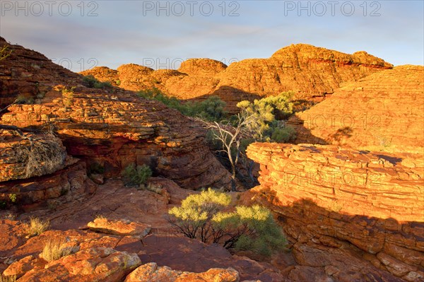 Kings Canyon