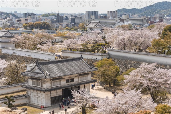 Outside Himeji Castle