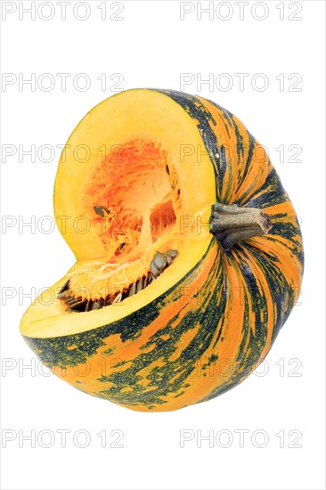 Styrian Oil Pumpkin