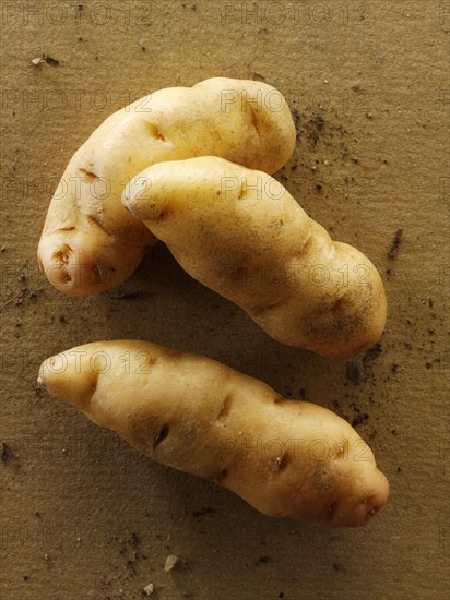 Organic Anya potatoes