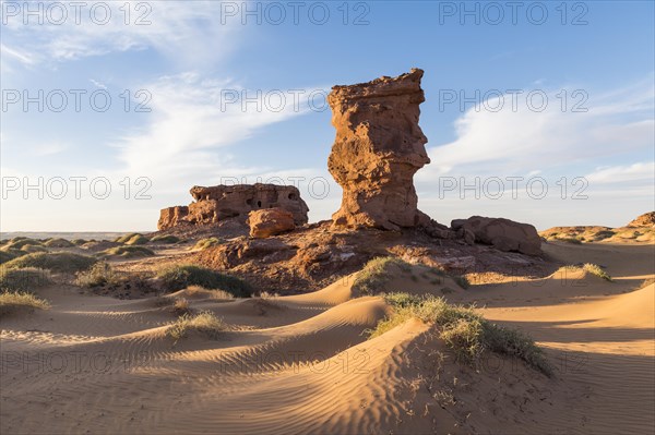Evening light in the Sahara near Timimoun