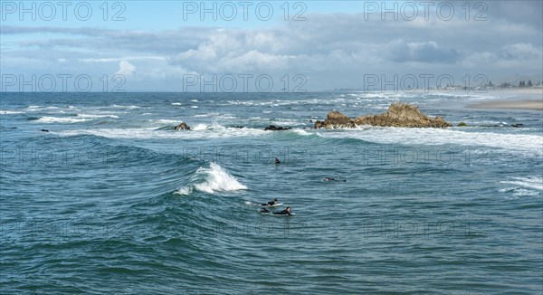 Surfers in the water at the coast near Mount Manganui
