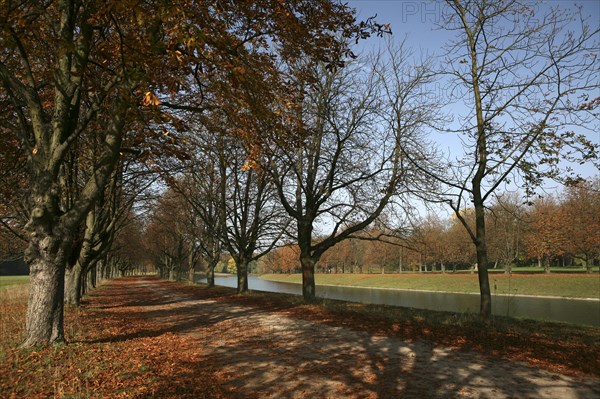 Tree-lined walk