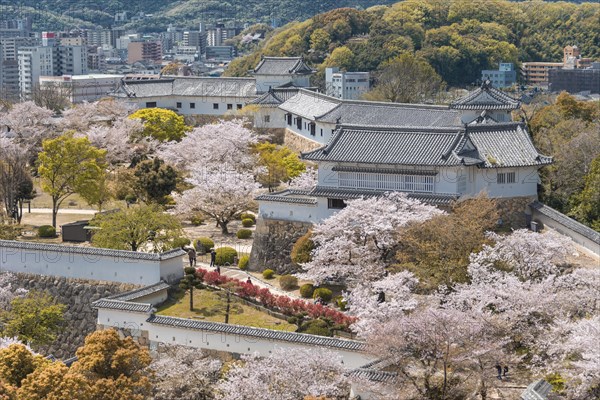 Outside Himeji Castle