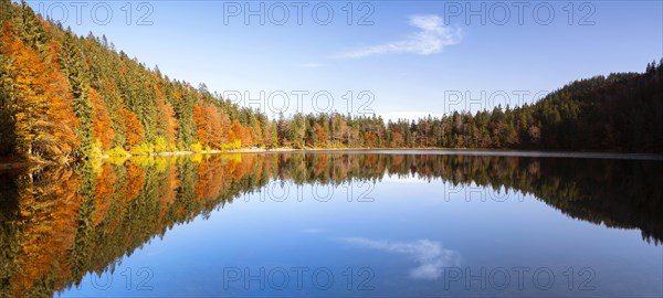 Autumn at Feldsee Lake with reflections near Mt Feldberg