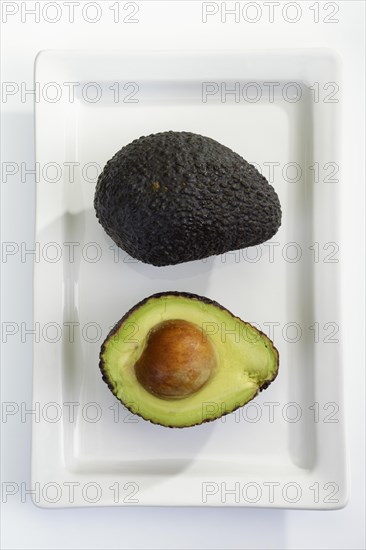 Avocado (Persea americana)