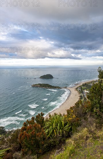 View to beach of Tauranga