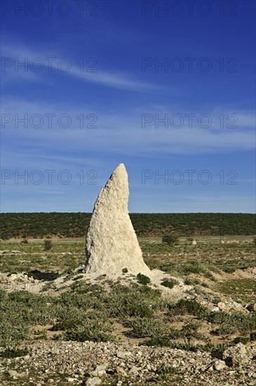Termite mound