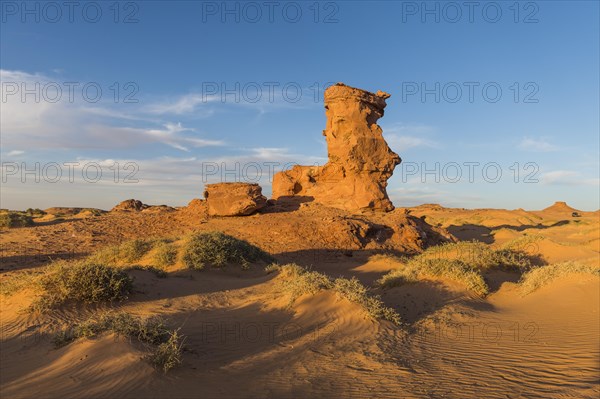 Evening light in the Sahara near Timimoun