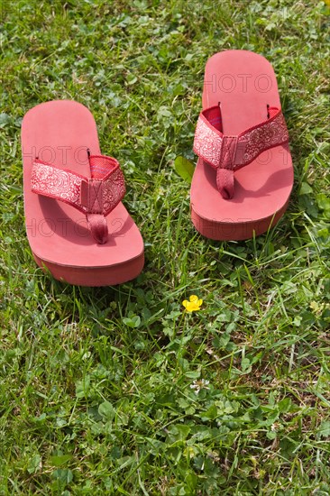 Flip flops on grass