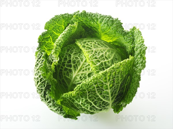 Fresh whole Curly Cabbage