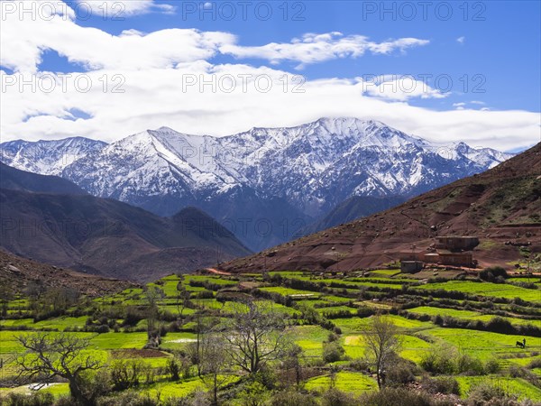 View of the Atlas Mountains