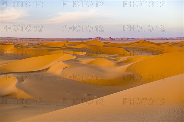Evening light in the sanddunes of the Sahara