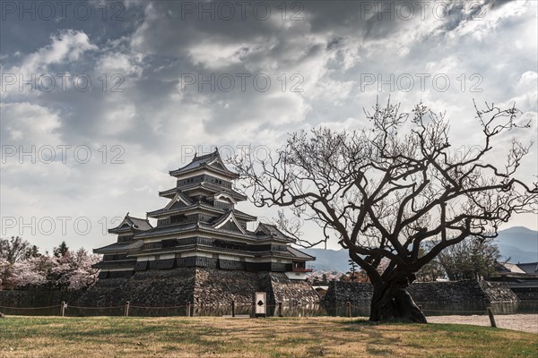 Old Japanese Castle
