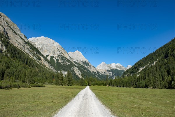 Forest path in the Karwendel valley