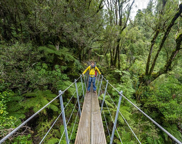 Hiker on suspension bridge in forest
