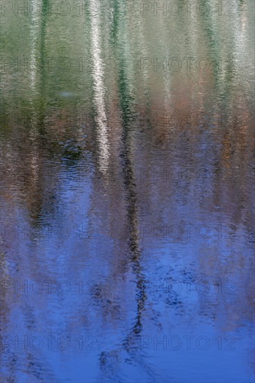 Water reflection
