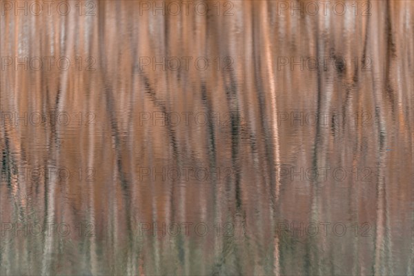Water reflection
