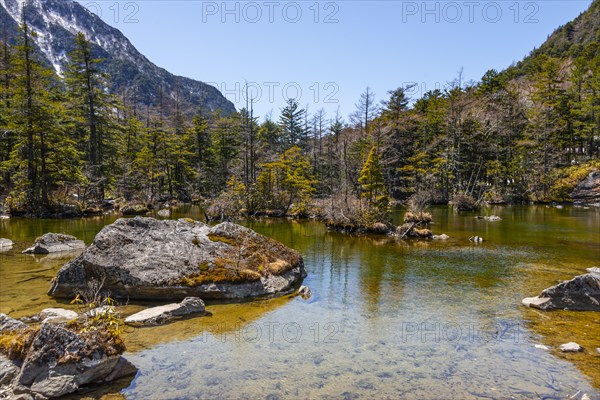 Myojin First Pond