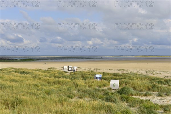 Beach chairs in the sand of the Kniephaken