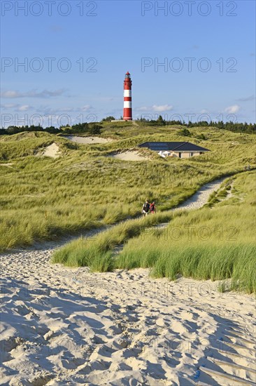 Amrum lighthouse in dune area