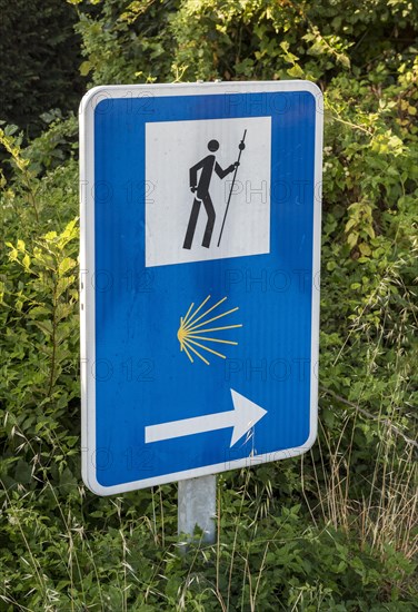 Camino de Santiago road sign with shell symbol