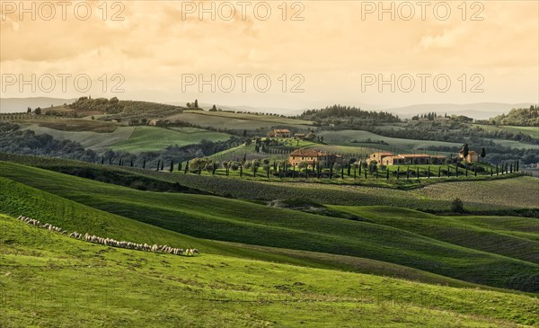 Hilly landscape
