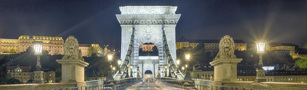 Chain bridge with lions and castle palace at night