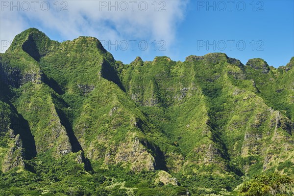 Landscape of the Kualoa Ranch & Zipline
