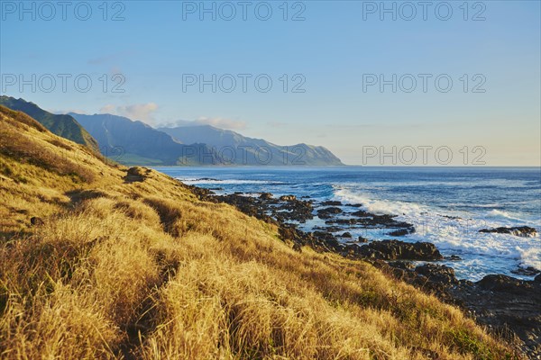 Landscape of the beach at Ka'ena Point State Park