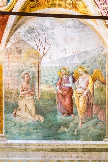 St. Francis throws himself into a rose bush
