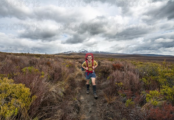 Hikers on hiking trail Tongariro Northern Circuit