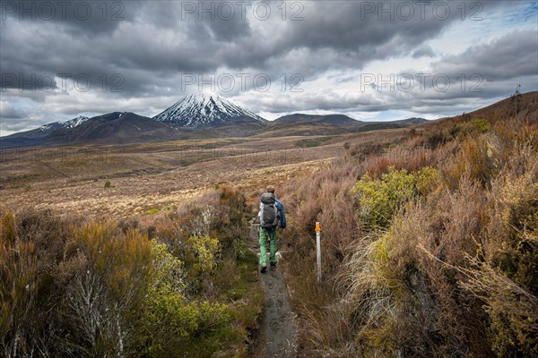 Hikers on hiking trail Tongariro Northern Circuit