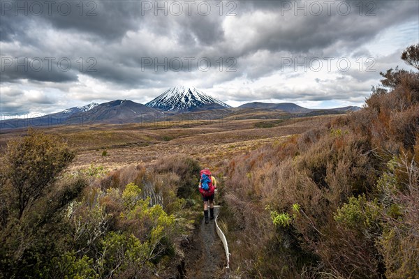 Hikers on hiking trail Tongariro Northern Circuit