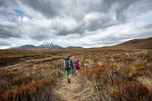 Hikers on hiking trail Tongariro Northern Circuit